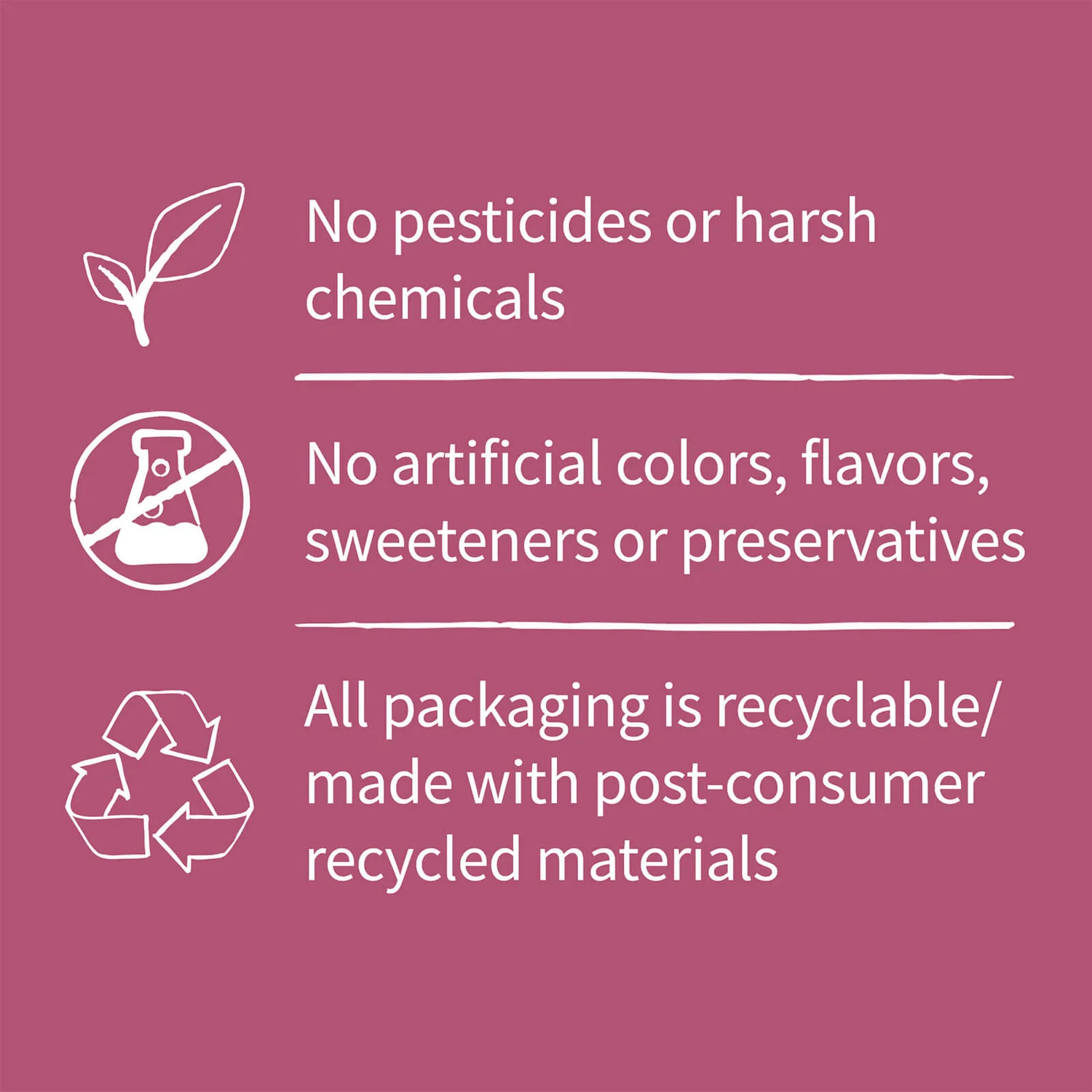 Mykind Organics Vitamin B12 Spray - Raspberry - 58ml 7 Mykind Organics Vitamin B12 Spray - Raspberry - 58ml - Image 7