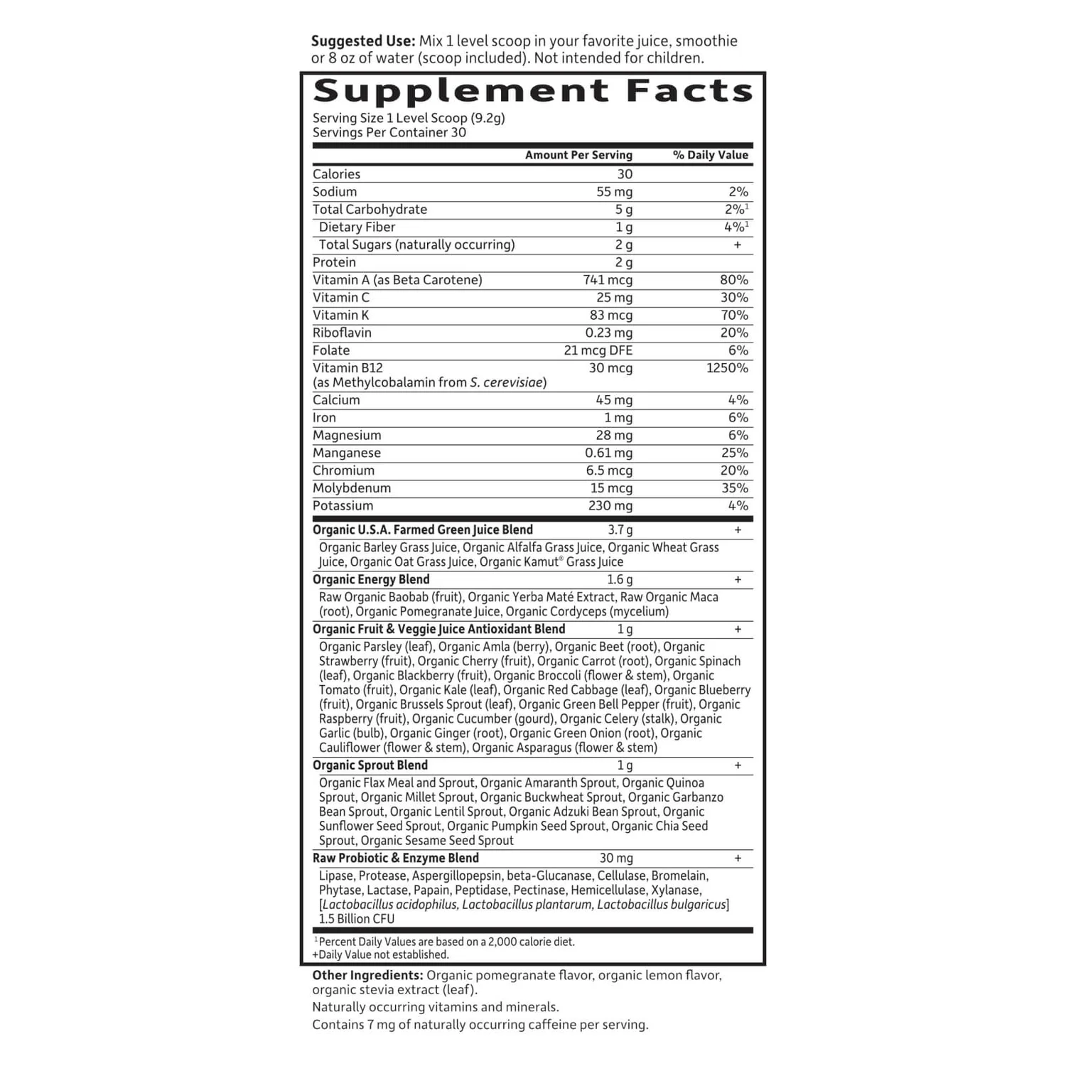 Raw Organic Perfect Food Energizer - Yerba Mate Pomegranate - 276g 3 Raw Organic Perfect Food Energizer - Yerba Mate Pomegranate - 276g - Image 3