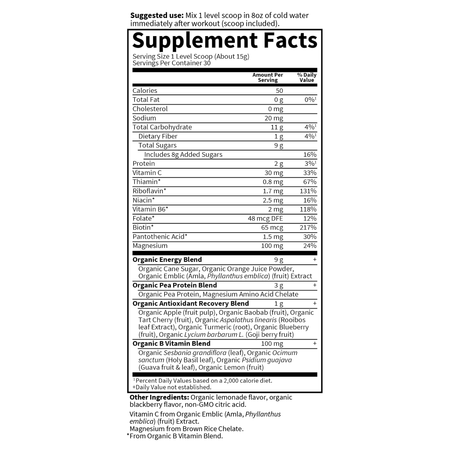 Sport Organic Plant-Based Recovery - Blackberry Lemonade - 446g 3 Sport Organic Plant-Based Recovery - Blackberry Lemonade - 446g - Image 3