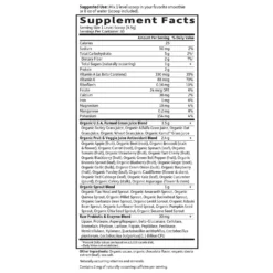 Raw Organic Perfect Food Green Superfood - Chocolate - 285g -Garden Of Life Shop 12507241 2044838375764551