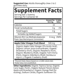 Mykind Organics Apple Cider Vinegar - 60 Gummies -Garden Of Life Shop 12941069 5474871705973273