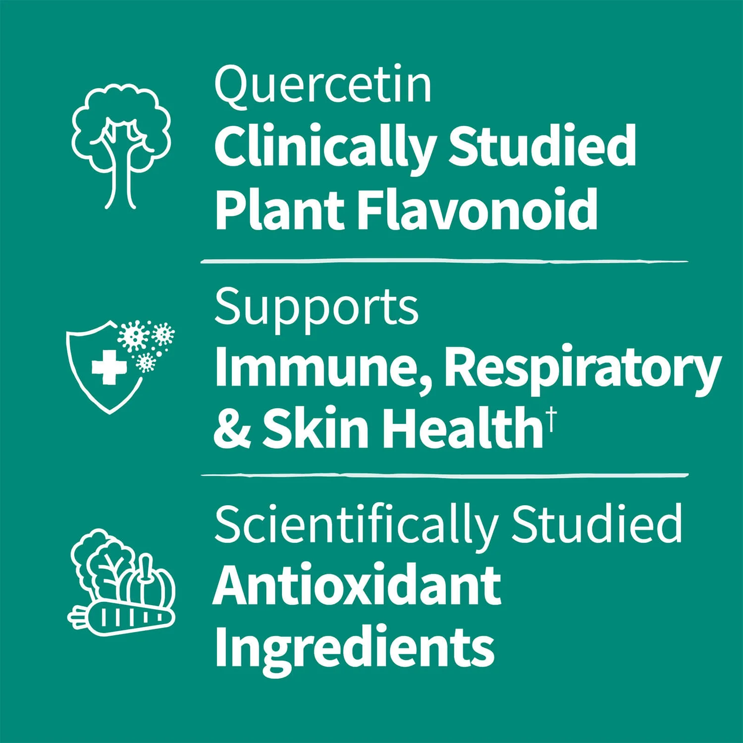 Quercetin 500mg - Immune - 30 Tablets 9 Quercetin 500mg - Immune - 30 Tablets - Image 9