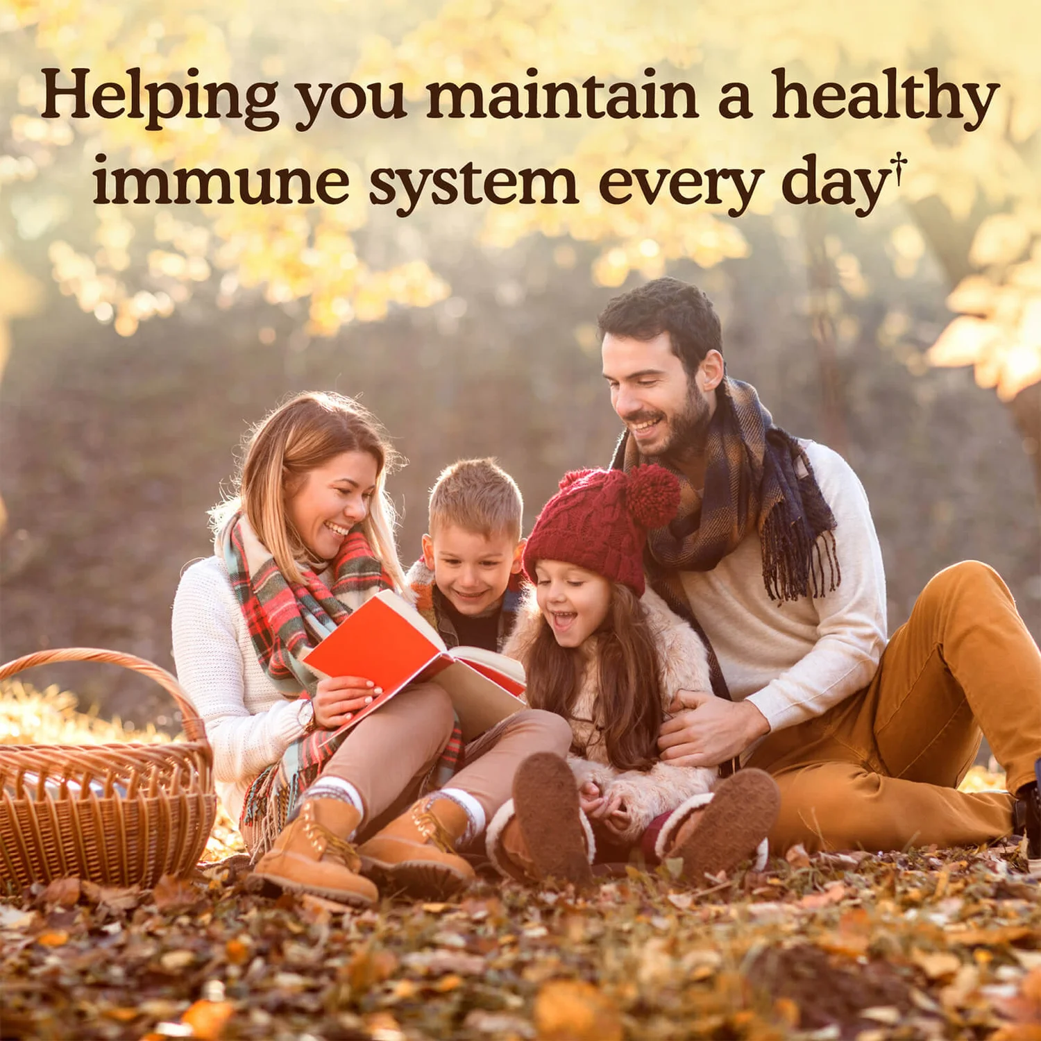 Quercetin 500mg - Immune - 30 Tablets 5 Quercetin 500mg - Immune - 30 Tablets - Image 5