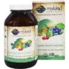 Garden Of Life Mykind Organics Plant Calcium 180 Tablets 180 Pcs